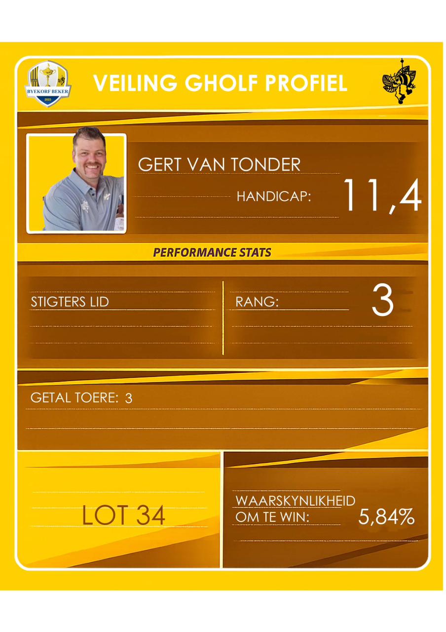 Gert van Tonder auction profile